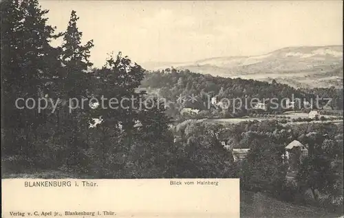 Bad Blankenburg Blick vom Hainberg Kat. Bad Blankenburg