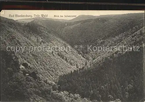 Bad Blankenburg Blick ins Schwarzatal Kat. Bad Blankenburg