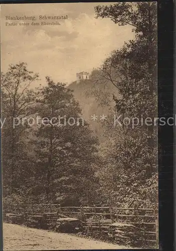 Bad Blankenburg Partie unter dem Eberstein Kat. Bad Blankenburg