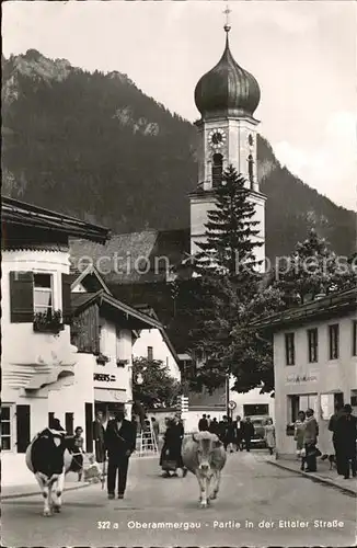 Oberammergau Partie in der Ettaler Strasse Viehtrieb Kuehe Kirche Kat. Oberammergau