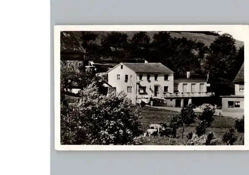 Loehrbach Gasthaus - Pension Zum Odenwald / Birkenau /Bergstrasse LKR