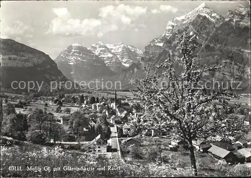 Mollis mit Glaernischkette und Raufl Baumbluete Kat. Mollis