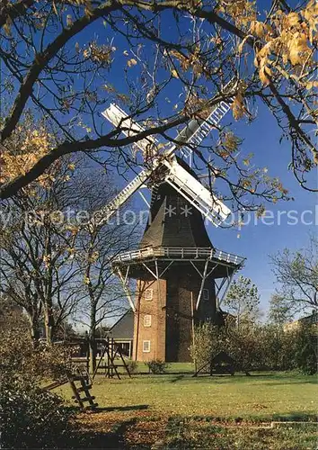 Oldehove Achtkante stellingmolen Kat. Oldehove