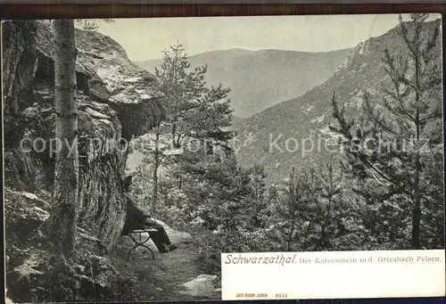 Schwarzatal Katzenstein Griesbachfelsen Kat. Rudolstadt