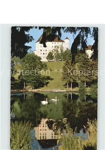 Groenenbach Bad Schloss Schwanenteich  Kat. Bad Groenenbach