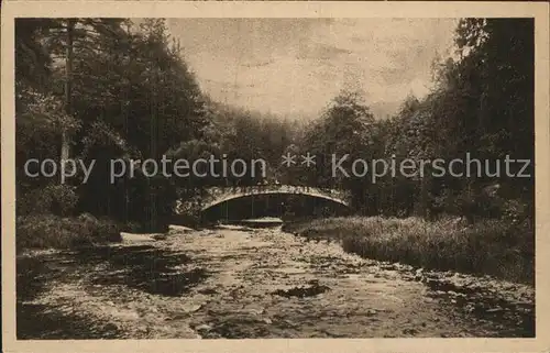 Schwarzatal Steinerne Bruecke beim Schweizerhaus Kat. Rudolstadt