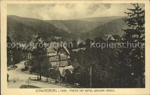 Schwarzburg Thueringer Wald Partie mit Hotel Weisser Hirsch Kat. Schwarzburg