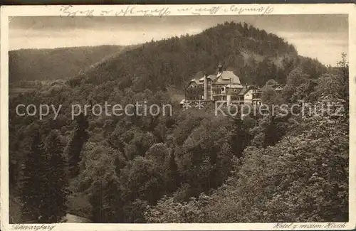 Schwarzburg Thueringer Wald Hotel zum Weissen Hirsch Kat. Schwarzburg