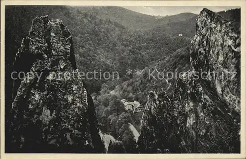 Schwarzatal Waidmannsheilwaldhaus Hindenburgfelsen Eberstein Kat. Rudolstadt