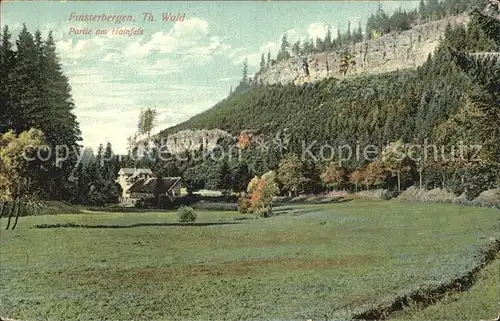 Finsterbergen Partie am Hainfels Kat. Finsterbergen Thueringer Wald