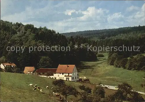 Gras Ellenbach Gassbachtal Kat. Grasellenbach