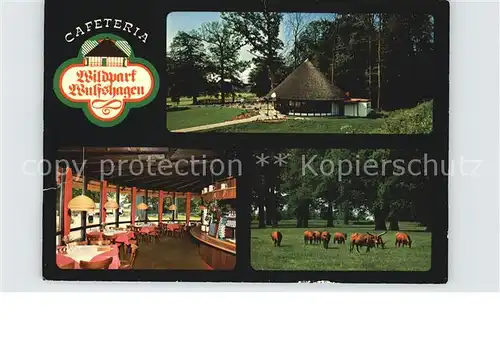 Wulfshagen Tuettendorf Cafeteria am Wildpark / Tuettendorf /Rendsburg-Eckernfoerde LKR