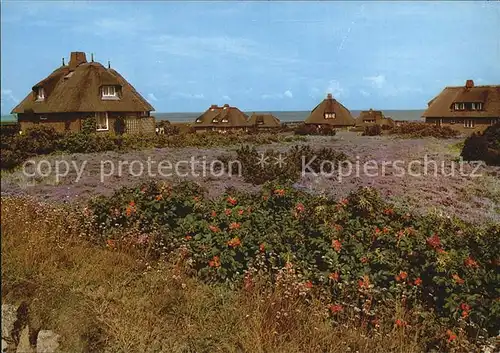 Sylt Gebaeude  Kat. Sylt Ost