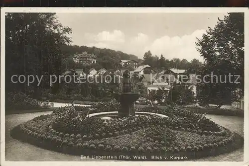 Bad Liebenstein Blick vom Kurpark Kat. Bad Liebenstein