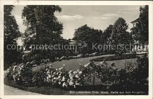 Bad Liebenstein Partie aus dem Kurgarten Kat. Bad Liebenstein