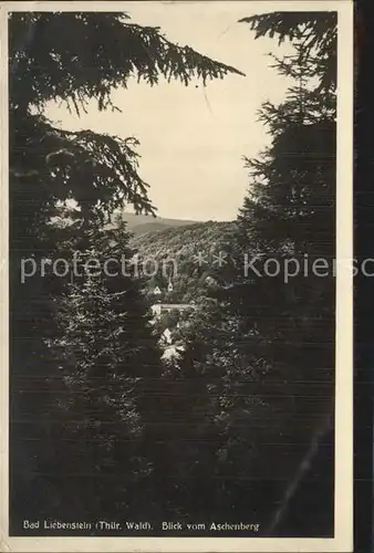 Bad Liebenstein Blick vom Aschenberg Kat. Bad Liebenstein