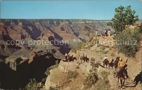 Grand Canyon National Park Arizona Head of Bright Angel Trail Kat. Grand Canyon National Park