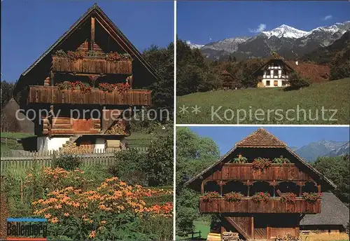 Brienz BE Schweizer Freilichtmuseum Ballenberg alte Speicher Kat. Brienz