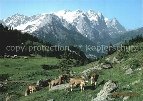 Meiringen Hasliberg Maegisalp Engelhoerner Wetterhorn-Gruppe / Meiringen /Bz. Oberhasli