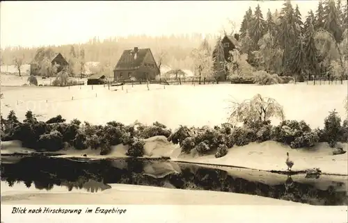 Hirschsprung Uferpartie am Fluss Winterpanorama Kat. Altenberg