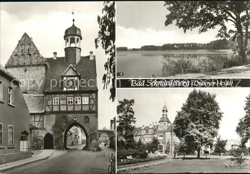 Bad Schmiedeberg Au Tor Grosser Lausiger Teich Kurhaus Eisenmoorbad Kat. Bad Schmiedeberg Duebener Heide