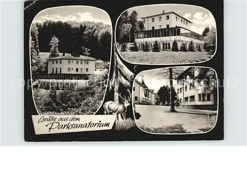 Braunfels Parksanatorium Hirsch Kat. Braunfels