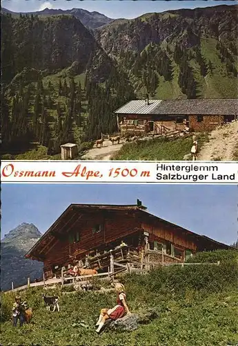 Hinterglemm Saalbach Ossmann Alpe Hochtorsattel Tristkogel