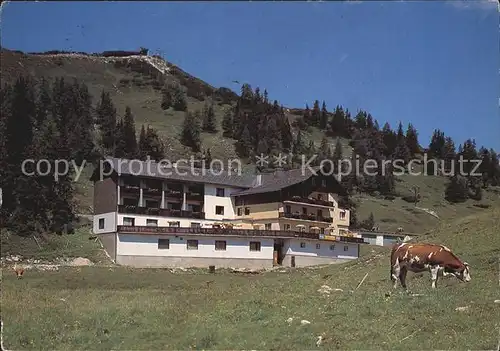 Tauplitzalm Gasthof Hierzegger  Kat. Tauplitz Steirisches Salzkammergut