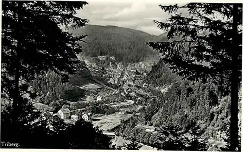 Triberg Triberg  * / Triberg im Schwarzwald /Schwarzwald-Baar-Kreis LKR