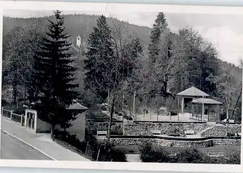 Triberg Triberg Burggarten x / Triberg im Schwarzwald /Schwarzwald-Baar-Kreis LKR