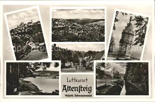 Altensteig Wuerttemberg Panorama mit Teilansichten Turm Teich Kanal Kat. Altensteig