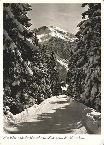 Lenzerheide Albula Blick gegen Lenzerhorn Kat. Lenzerheide