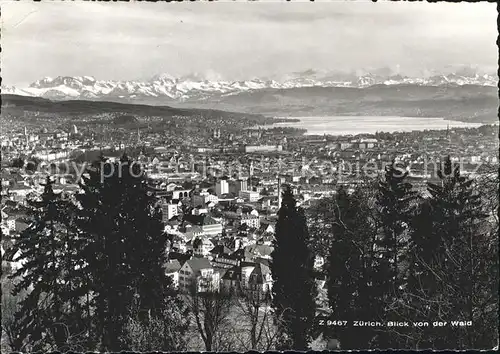 Zuerich Blick von der Waid / Zuerich /Bz. Zuerich City