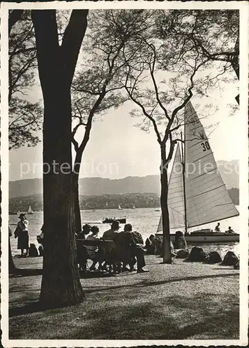 Zuerichsee Am See Segelboot / Zuerich /Bz. Zuerich City