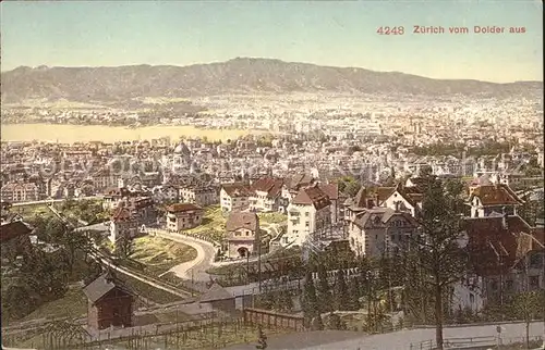 Zuerich vom Dobel gesehen / Zuerich /Bz. Zuerich City