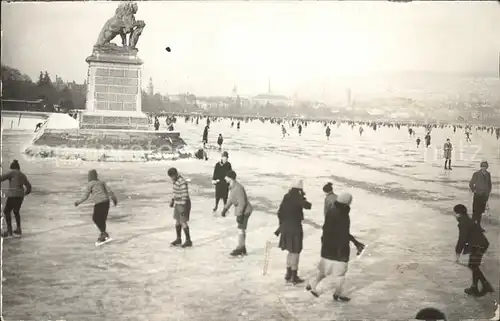 Zuerichsee Seegfroerni 1963 Loewenstatue / Zuerich /Bz. Zuerich City