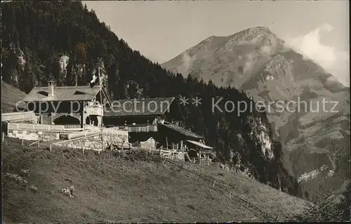 Reichenbach Chalet Bachwald Kat. Behrungen