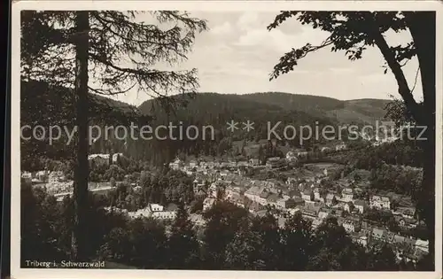 Triberg Panorama Kat. Triberg im Schwarzwald