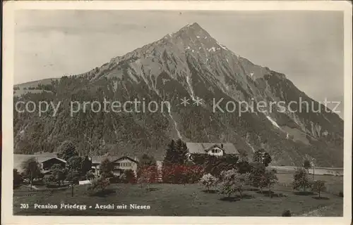 Aeschi Spiez Pension Friedegg Blick zum Niesen Kat. Aeschi Spiez