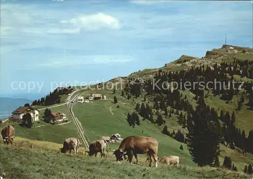 Rigi Staffel und Rigi Kulm mit Vitznau und Arth Rigi Bahn Kat. Rigi Staffel