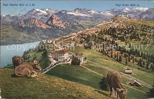 Rigi Staffel mit Rigi Kulm Hotels Panorama Kat. Rigi Staffel