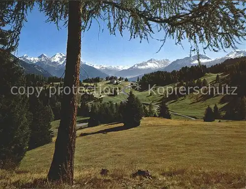 Lenzerheide Chur Sporz Davains  Kat. Lenzerheide