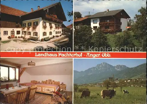 Anger Bayern Landhaus Pachterhof Kat. Anger