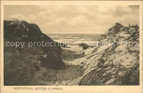 Wittduen Nordseebad Amrum Strand und Duenen Kat. Wittduen