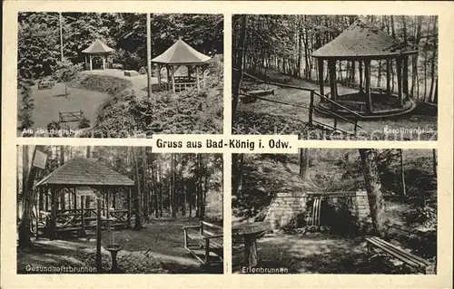 Bad Koenig Erlenbrunnen Gesundheitsbrunnen  Kat. Bad Koenig