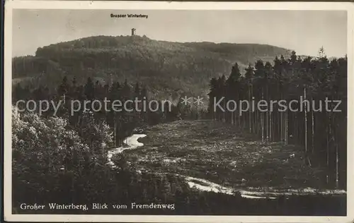 Grosser Winterberg Saechs. Schweiz Blick vom Fremdenweg Kat. Bad Schandau