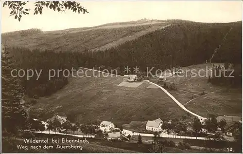 Wildenthal Eibenstock Erzgebirge Weg nach dem Auersberg Kat. Eibenstock