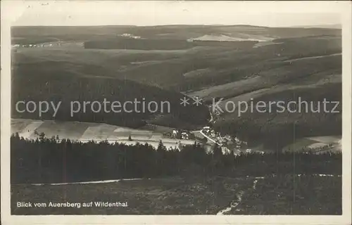 Wildenthal Eibenstock Erzgebirge Panorama Blick vom Auersberg Kat. Eibenstock