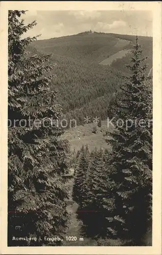 Wildenthal Eibenstock Erzgebirge Blick zum Auersberg Kat. Eibenstock