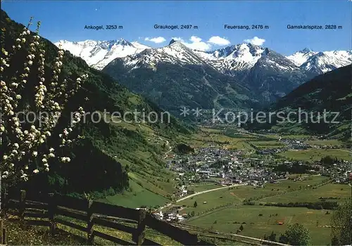 Bad Hofgastein Panorama mit Hohen Tauern Kat. Bad Hofgastein